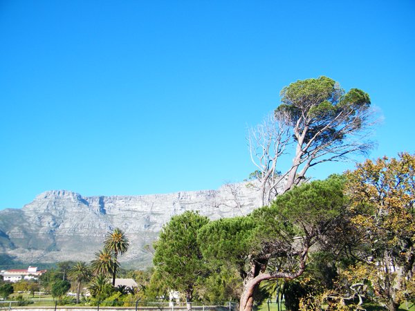 5-Table Mountain from Ashanti Lodge