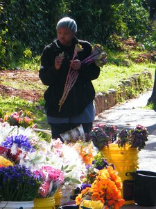 1-Flower vendor on my way to Table Mountain