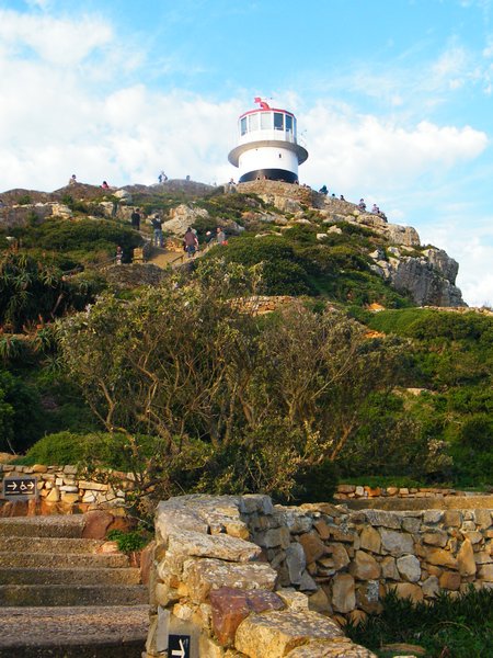 7-Cape Point