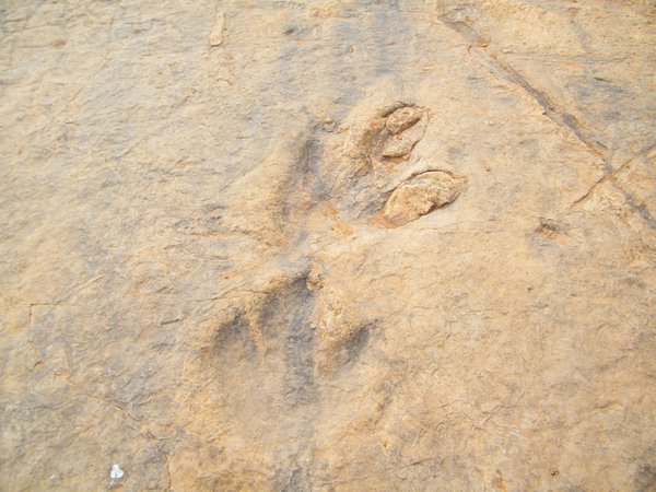 to-the-kingdom-in-the-sky-lesotho-16-dinosaur-footprints-near-roma