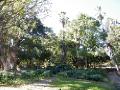 24-Botanical Gardens of Maputo