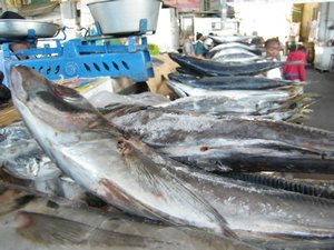 23-Peixe en o mercado municipal do Maputo