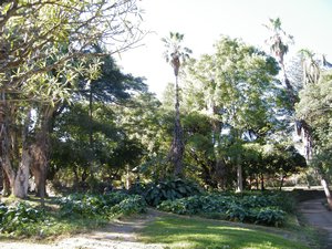 24-Botanical Gardens of Maputo