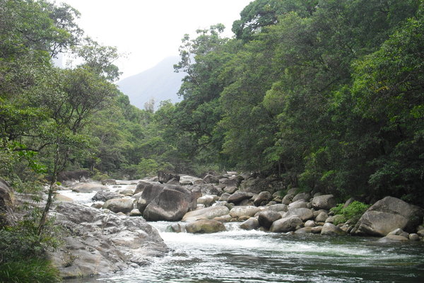 Rapids flowing into the gorge