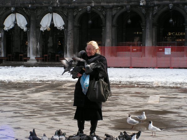 Old lady feeding the birds in the piazza