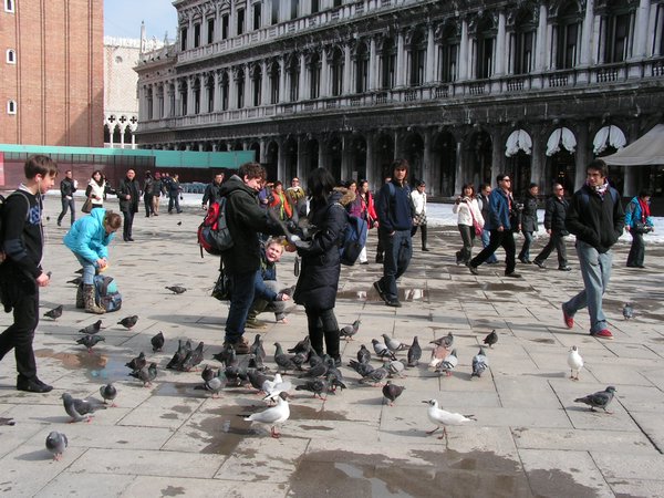 Bird feeding in the piazza