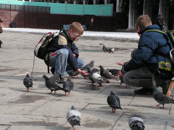 Pigeons and kids