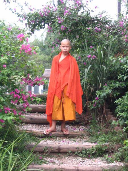 Mönch im religioesen Zentrum: Luang Prabang