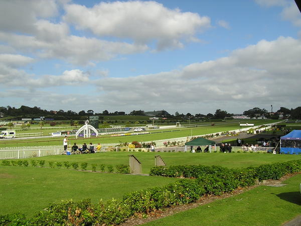 The Racecourse (Grass)
