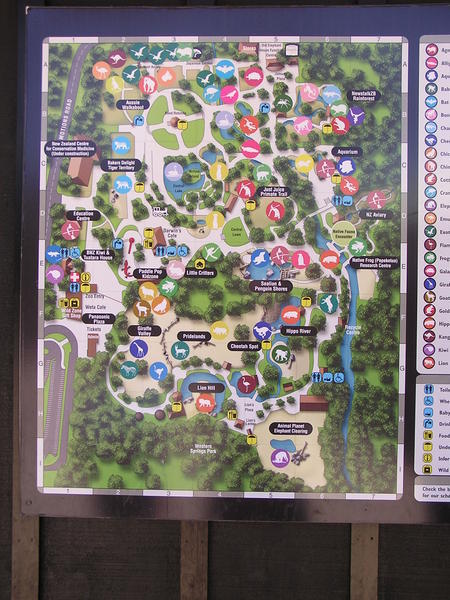 Map Of Auckland Zoo Candy Land -- Zoo Map | Photo