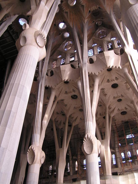 Forest of Unusual Columns
