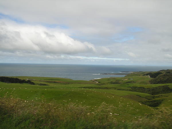 The green rolling fields of the Catlins