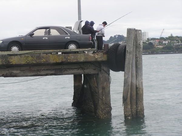 Fishing Maori Style, Out of the Boot