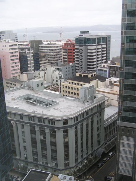 View from Wellington Hotel Room