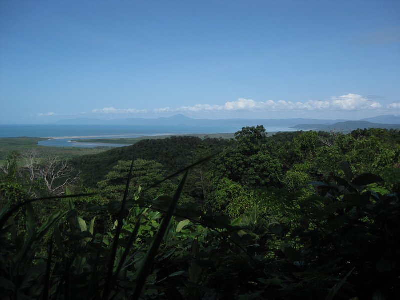 Rainforest towards Cape Trib