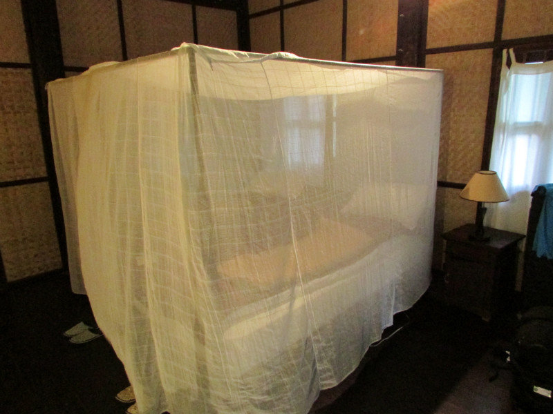 mosquito net deployed over the bed