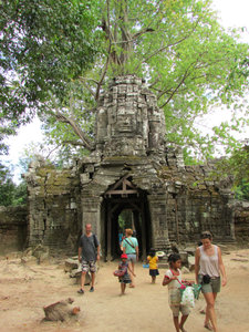 Ta Som: East Gopura with tree growing on face tower