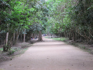 Preah Khan: Forested Path to the Main Temple Complex