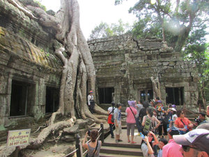 Ta Prohm: Trapped in Tomb Raider Tourist Hell