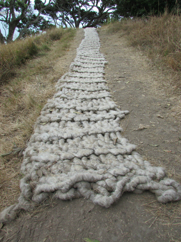 Gina Ferguson's Sheep Track