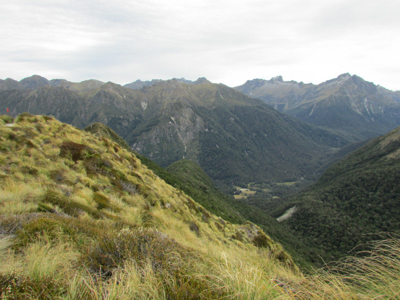 View down to treeline and clearing in the valley where we would stay at Iris Burn Hut