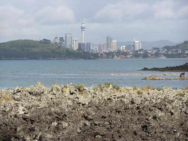 Auckland as Seen from Island