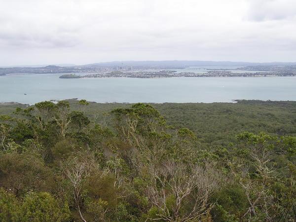 Auckland as Seen from the Summit