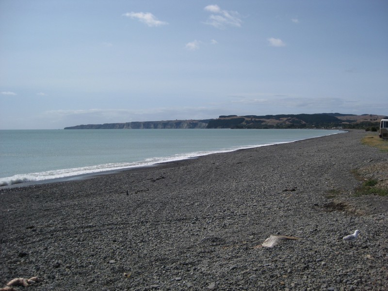 Looking at Cape Kidnappers