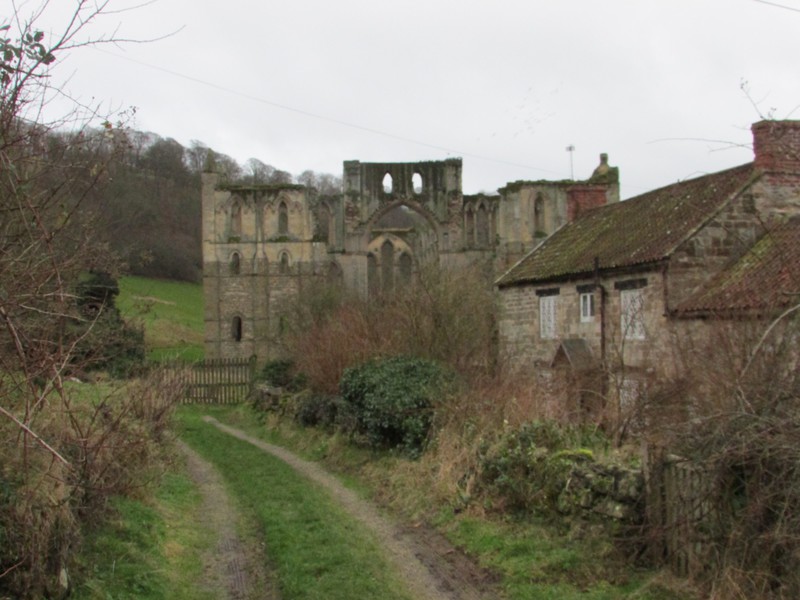 Rievaulx Abbey Ruins
