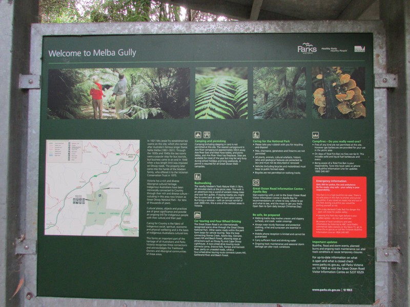 D1 - Melba Gully Rainforest Walk