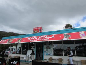 D1 - Koala Cove Cafe
