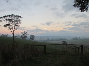 D1 Moonrise and Austrailian countryside