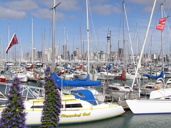 Auckland as seen from the Harbour