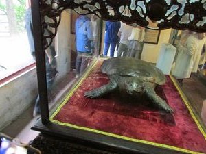 mummified giant turtle from Hoan Kiem Lake (in the Old Quarter) - there is a long tradition and lore of giant turtles in the lake... unfortunately no giant turtles remain in the lake