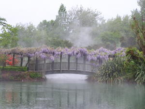 The wisteria made a valiant attempt to mask the sulfur odor but in the end failed miserably. 