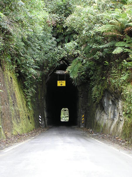 Jungle Tunnel