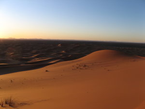 Desert 7