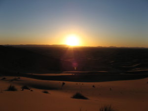 Desert 8