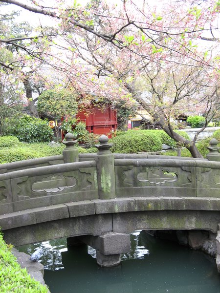 Temple gardens