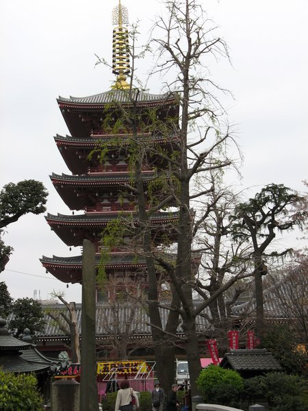 Temple grounds