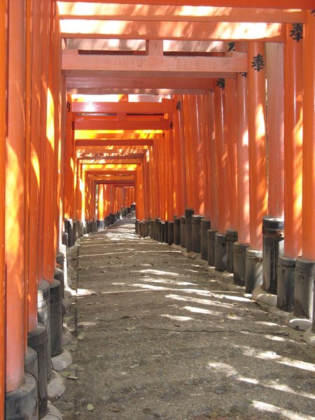 Fushimi torii