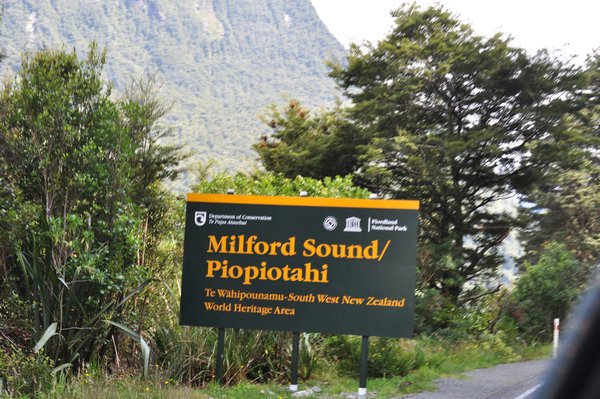 Milford Sound Welcome