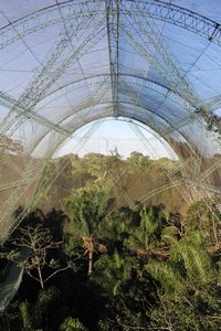 Biosphere in Guembe