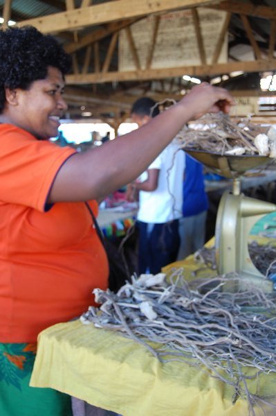 Buying the Kava root from Labasa market.