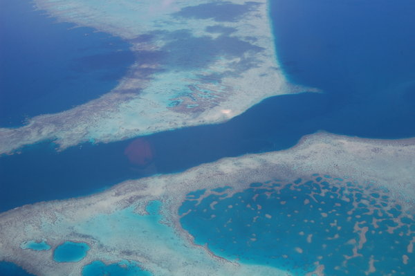 Coral reefs as seen from the tiny 6 seater plane ride from Nadi to Labasa.