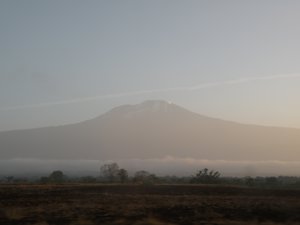 Mt. Kili 