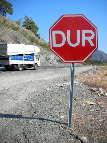 Our new favorite saying: "DURRRR" 