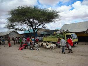 Archer's Post, Samburu, market day.