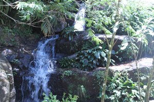 Tijuca waterfall