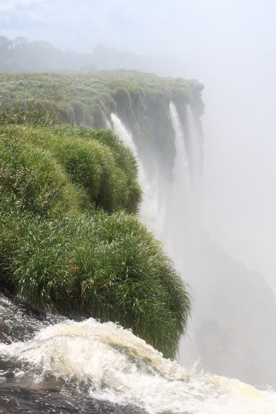 Iguacu Falls 